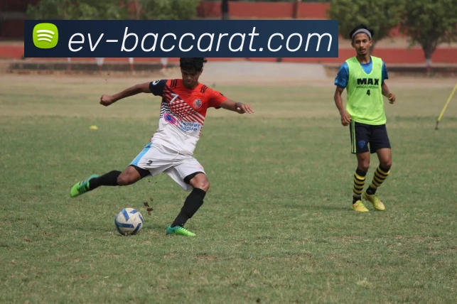 AG百家乐官网发展历程