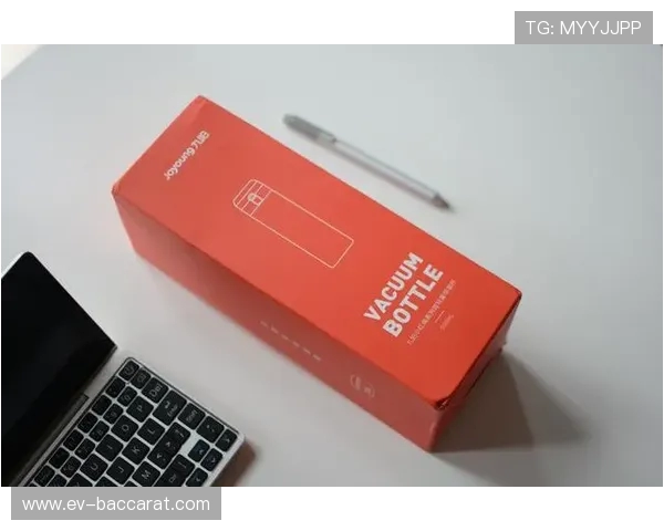 大灾变无限生存游戏保温杯设计解析与实用性评测